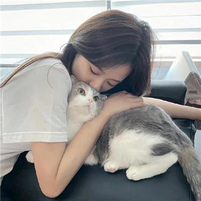 狐妖小红娘镜花缘篇